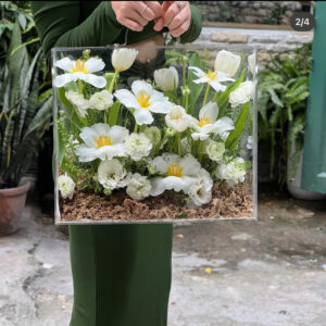 Pure White Garden