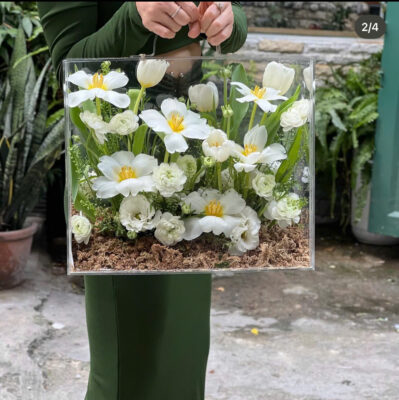 Pure White Garden